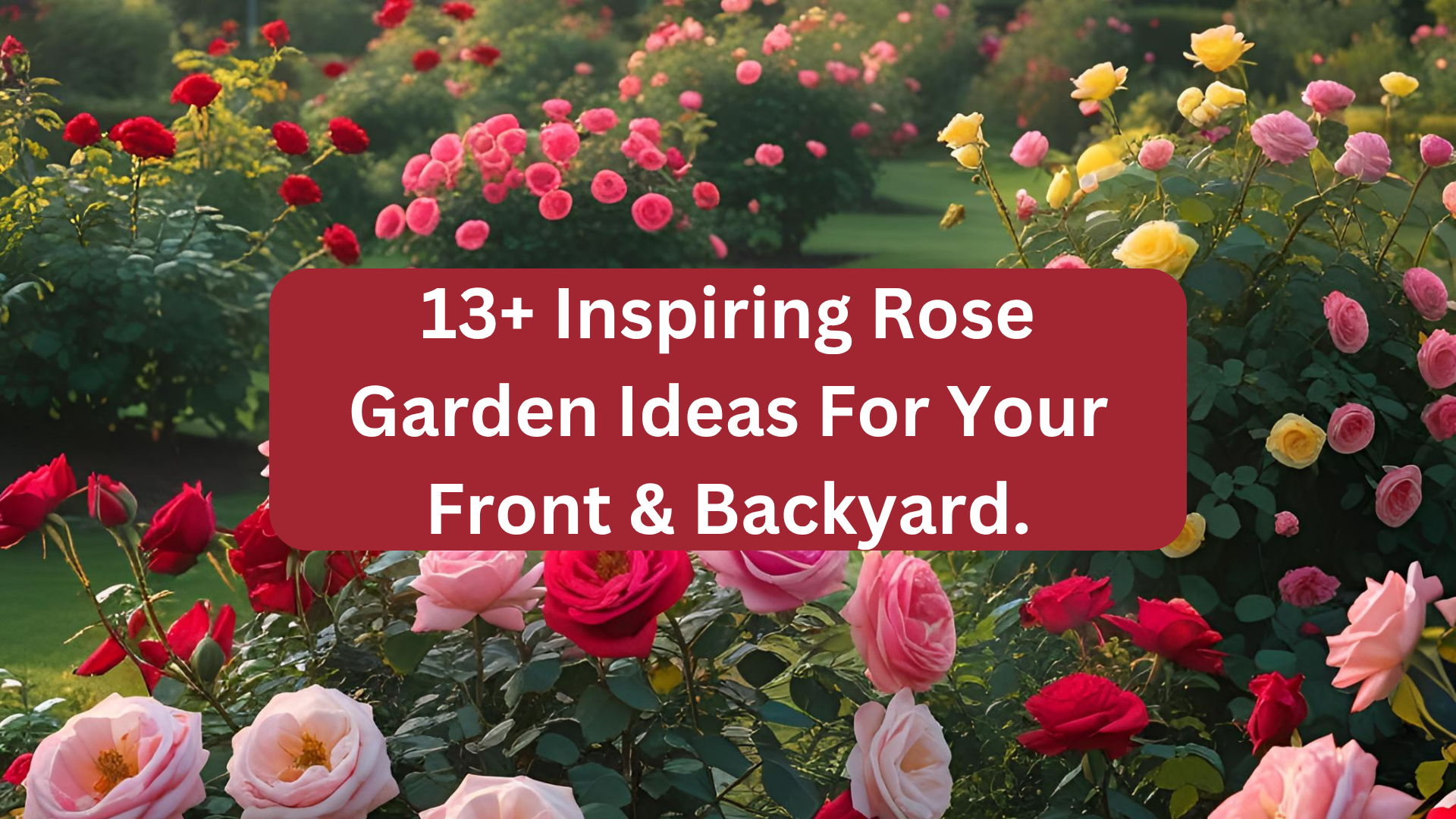 A lush rose garden featuring red, pink, and yellow roses in full bloom, with the text 13+ Inspiring Rose Garden Ideas For Your Front & Backyard on a red banner in the center.