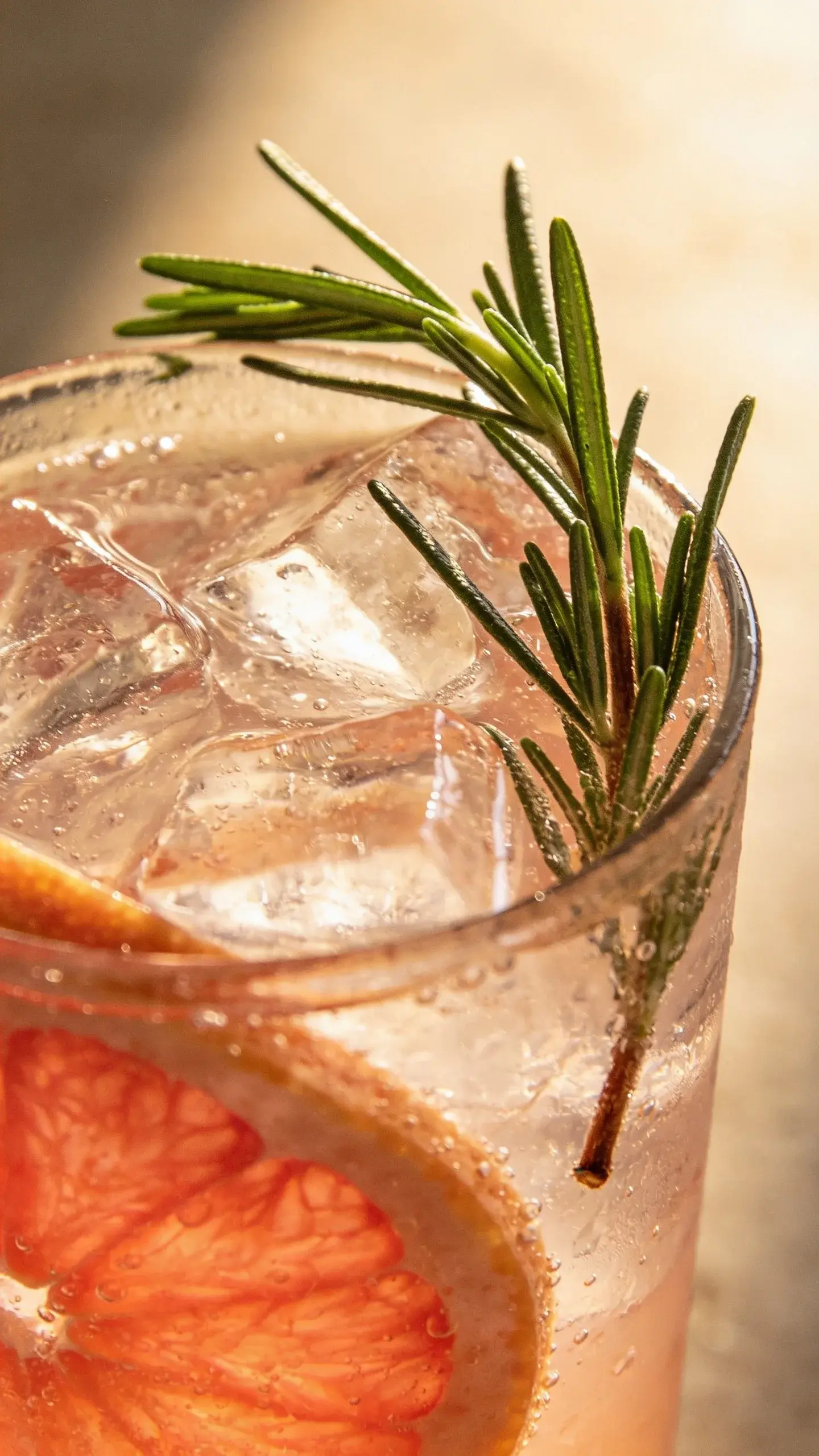 Close-up glass of grapefruit rosemary mocktail, ice cubes, fresh rosemary