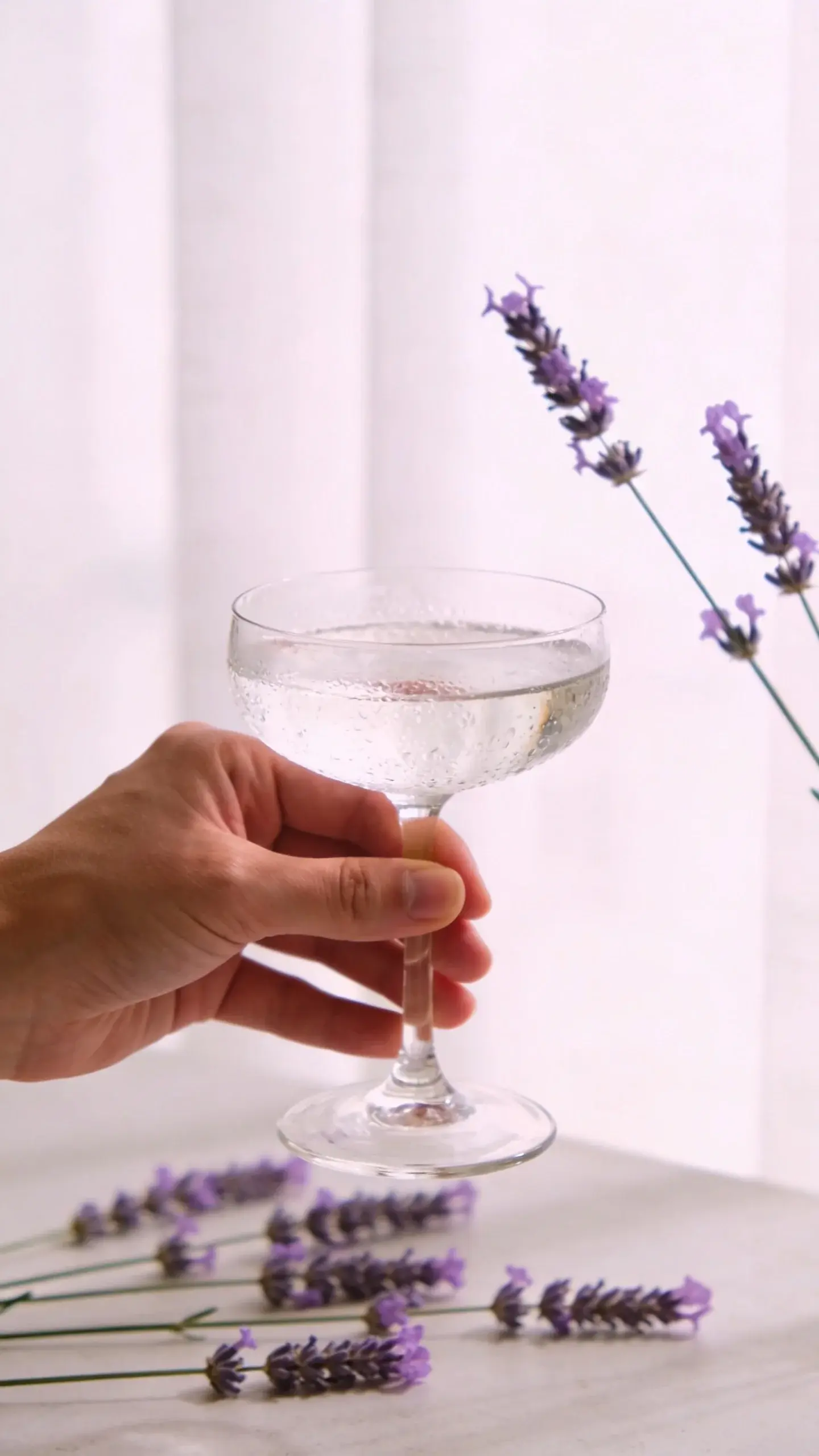 Hand holding spritzer glass, lavender sprigs in background